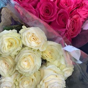 Meet your Posher, Daphne